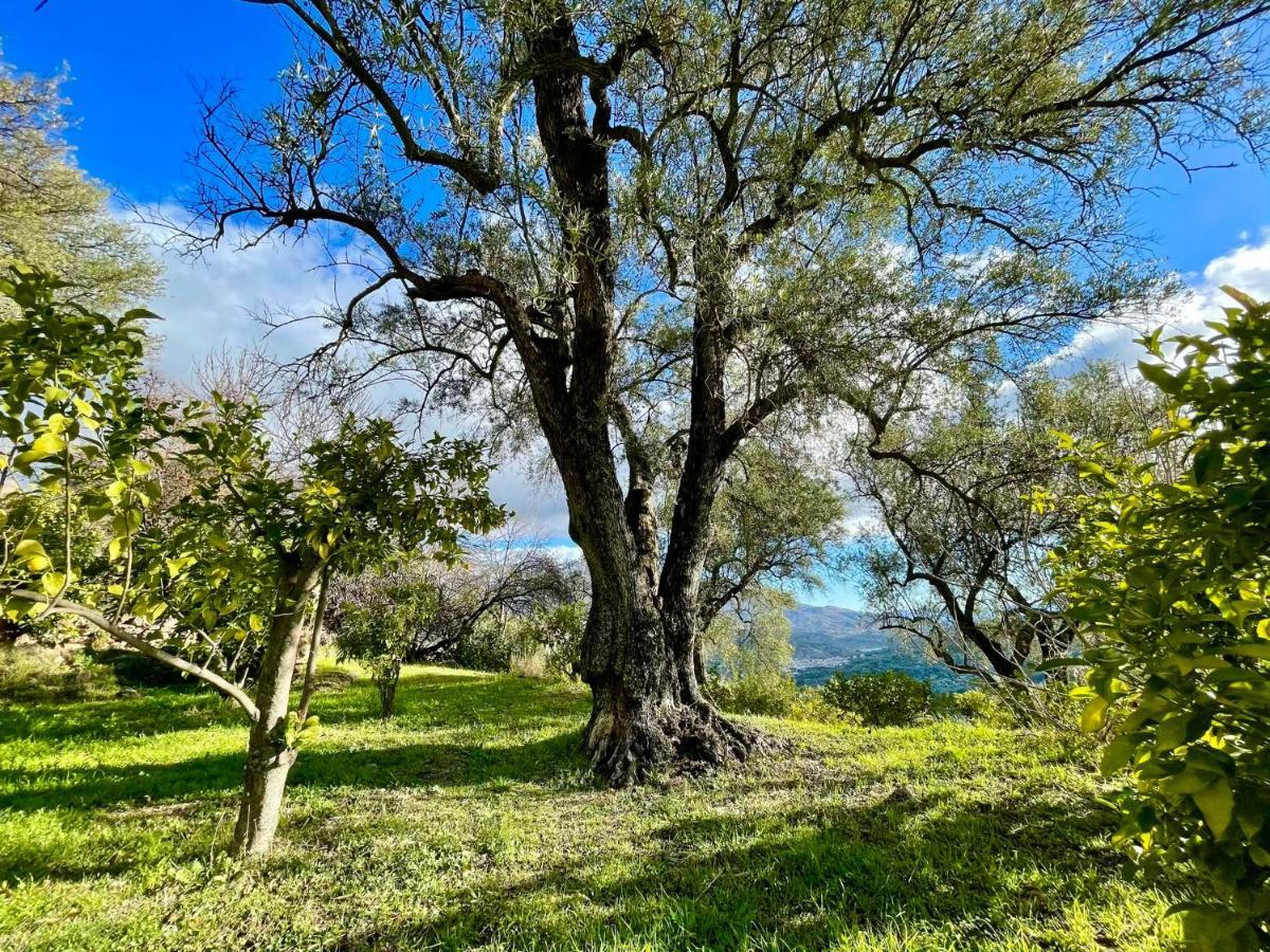 La Esperanza Granada Luxury Hacienda & Private Villa Saleres Kültér fotó