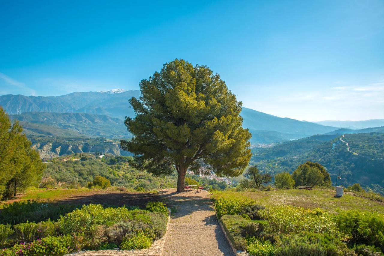 La Esperanza Granada Luxury Hacienda & Private Villa Saleres Kültér fotó