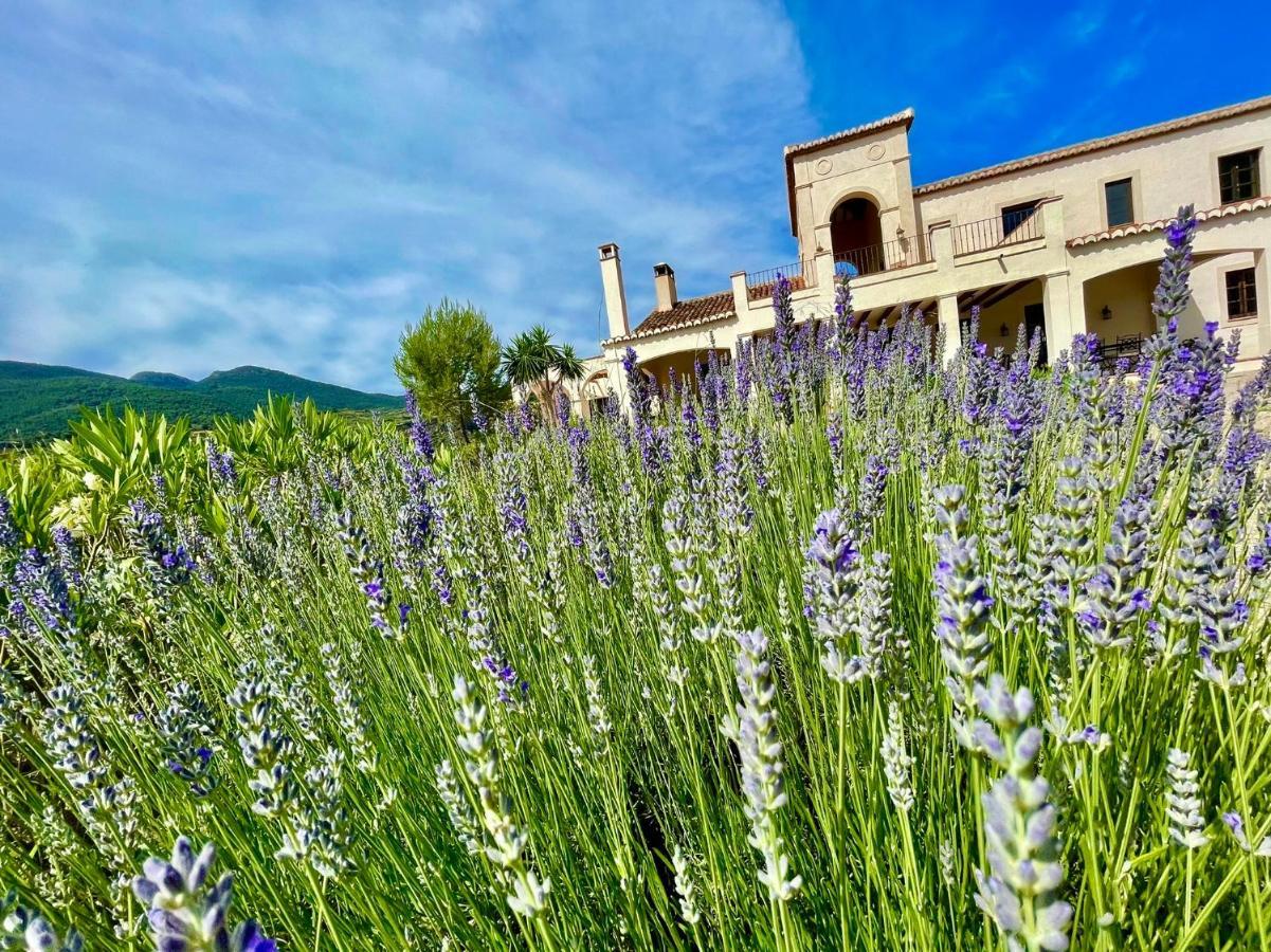 La Esperanza Granada Luxury Hacienda & Private Villa Saleres Kültér fotó